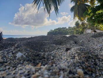 family suite apartment 1 in villa coconut