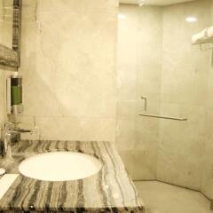 the platinum boutique inn hotel