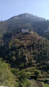 icebergs hotel mussoorie