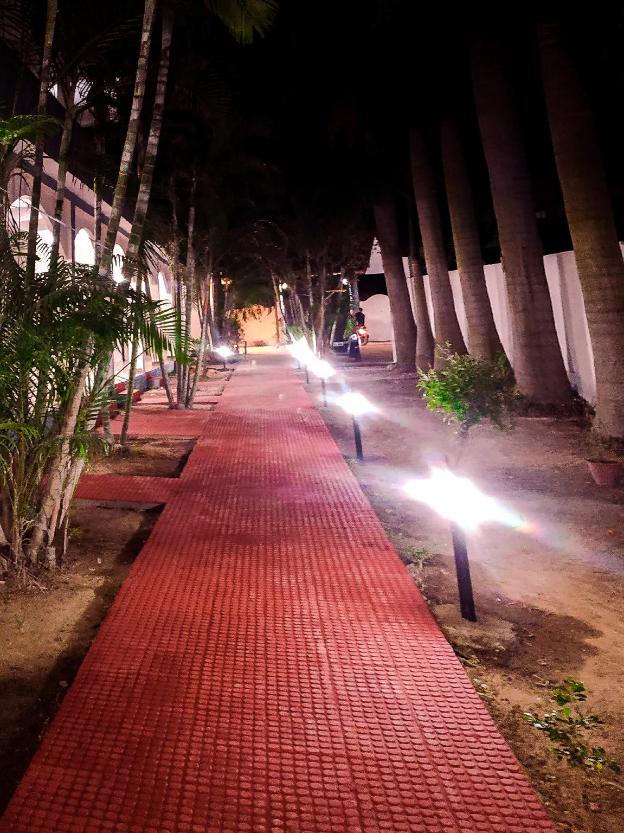 hotel jungle palace resort
