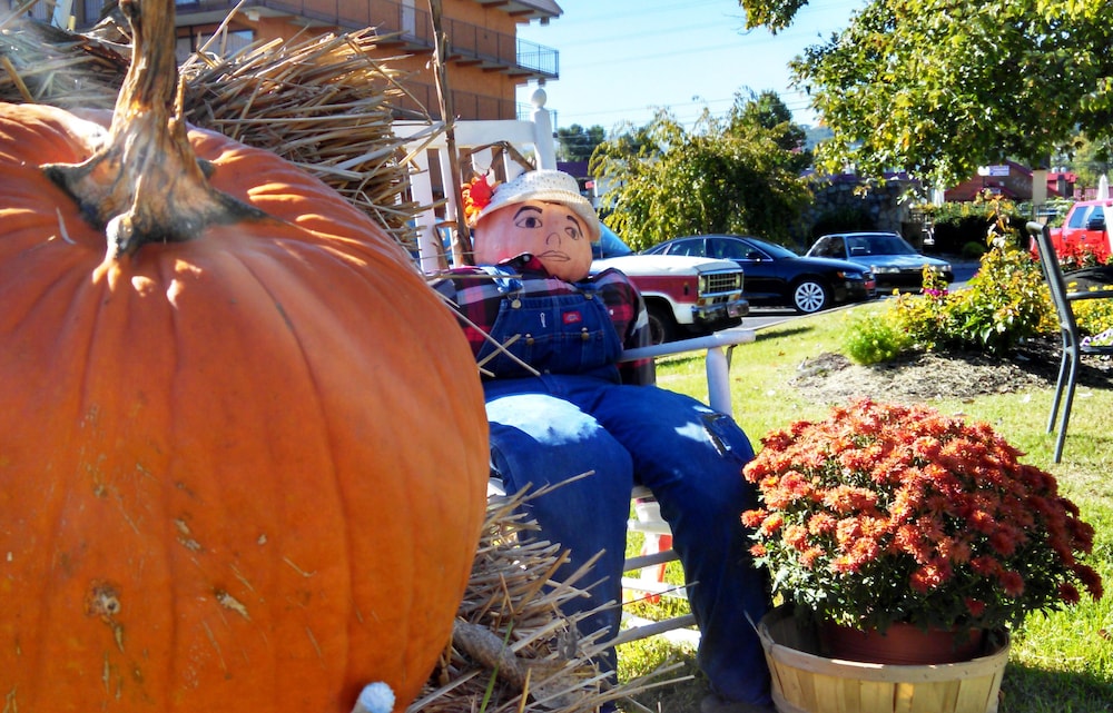 arbors at island landing hotel and suites