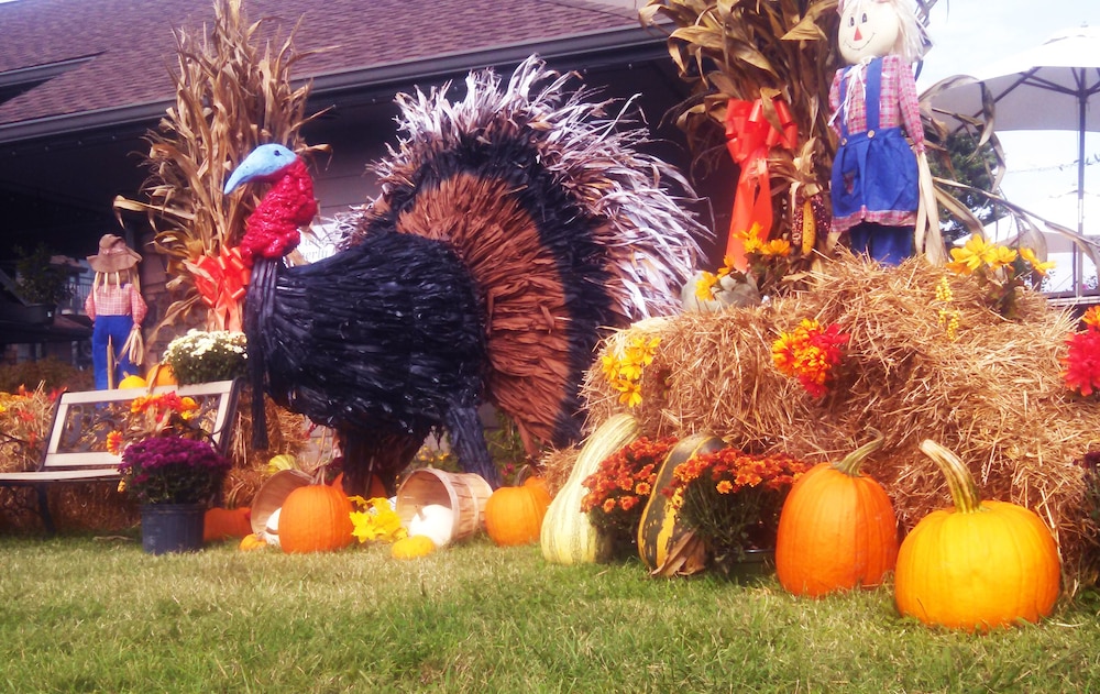 arbors at island landing hotel and suites