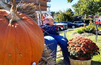 arbors at island landing hotel and suites