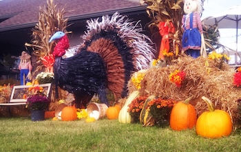 arbors at island landing hotel and suites