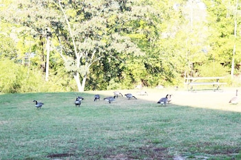 arbors at island landing hotel and suites