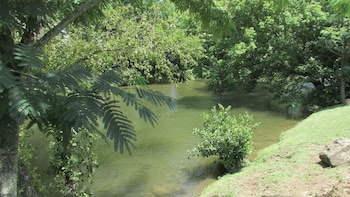 arbors at island landing hotel and suites