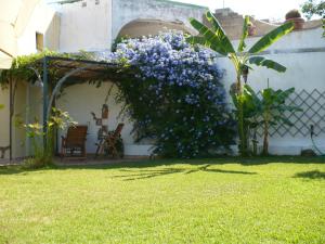 hotel savoia