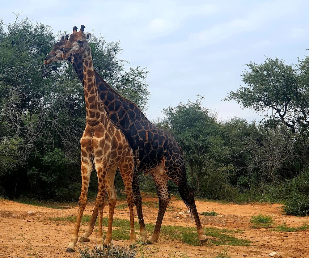 blyde river wilderness lodge