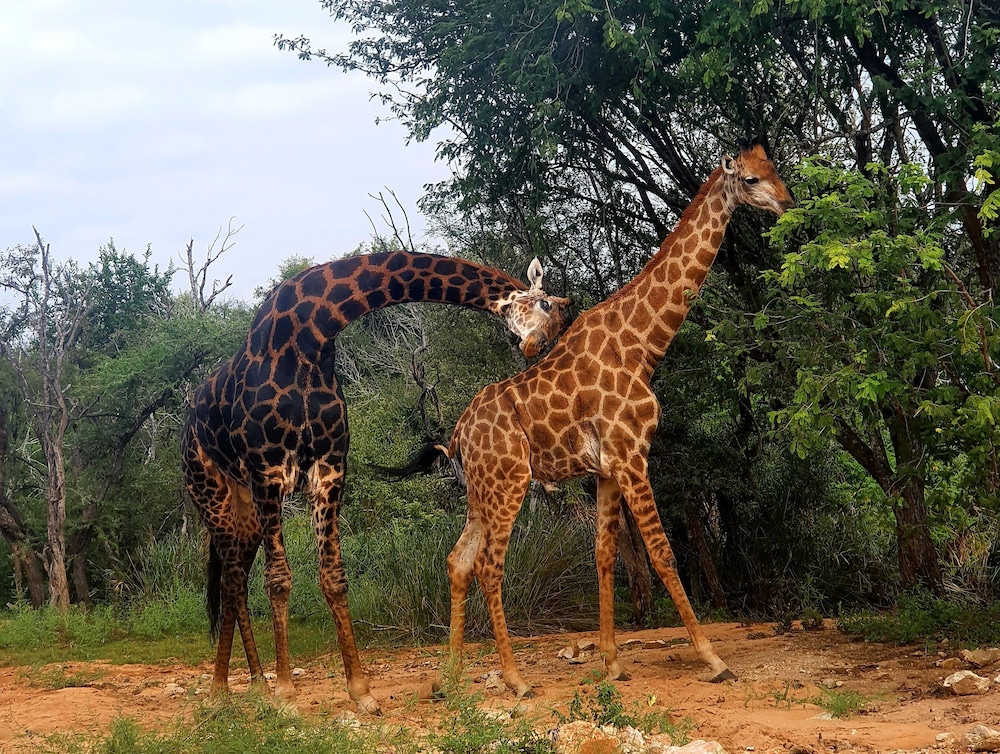 blyde river wilderness lodge