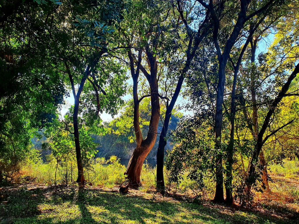 blyde river wilderness lodge