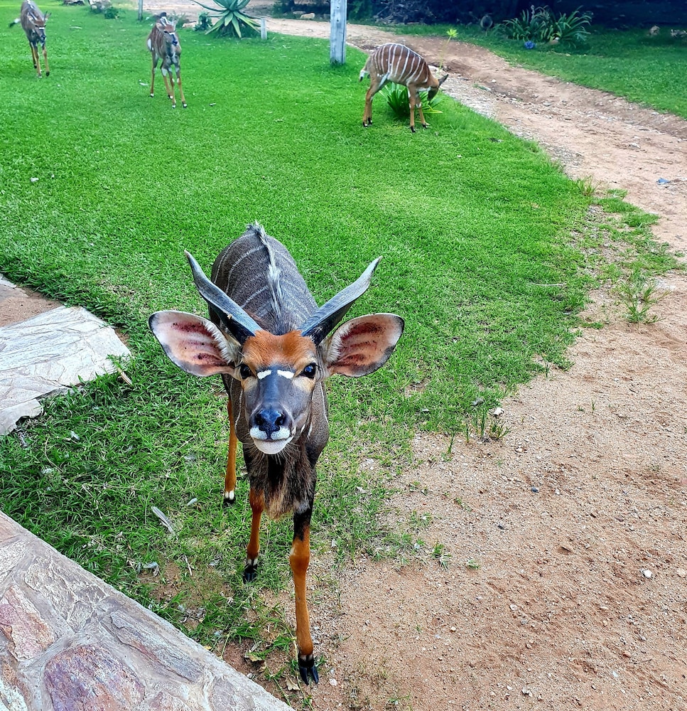 blyde river wilderness lodge