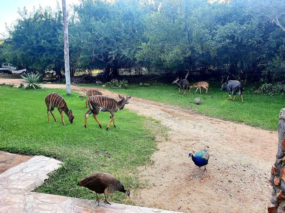 blyde river wilderness lodge