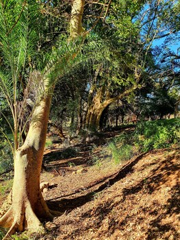 blyde river wilderness lodge