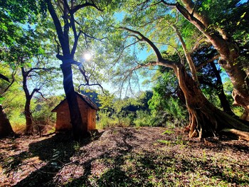 blyde river wilderness lodge