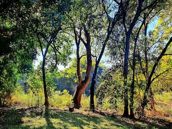 blyde river wilderness lodge