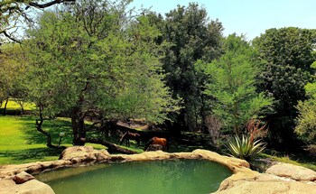 blyde river wilderness lodge