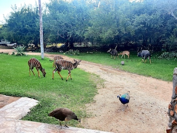 blyde river wilderness lodge