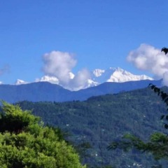 tumsong tea retreat