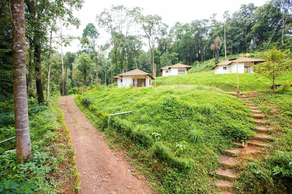 the nest bettathur coorg ct no 1