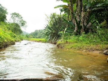 The Nest Bettathur Coorg Ct No 1,Kodagu>>Kakabe,2.5 star