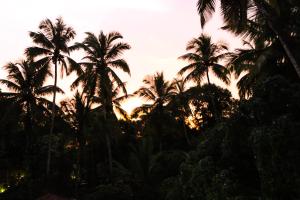 summer by thehostelcrowd