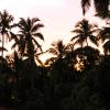 summer by thehostelcrowd
