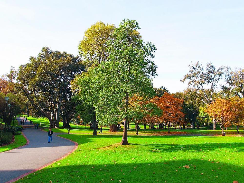 georgian court bed and breakfast