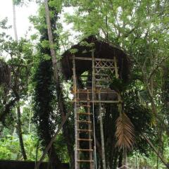 Neelambari Ecotourism,Kodungallur>>Kerala,3 star
