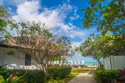 the hive hotel samui