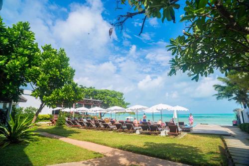 the hive hotel samui