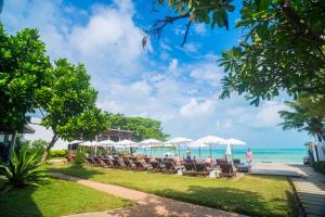 the hive hotel samui