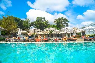 the hive hotel samui