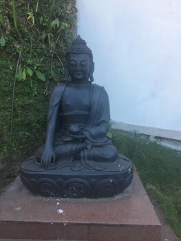 sterling gangtok orange village resort