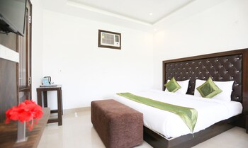 treebo tigers pug marks