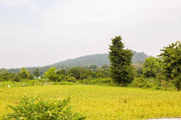 ramnagar