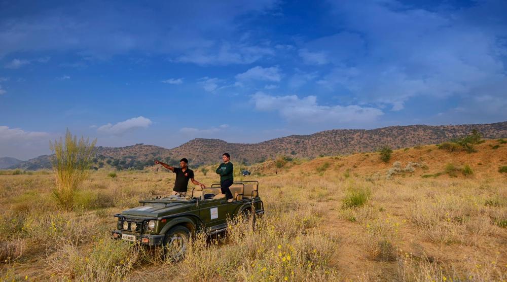 treehouse achrol niwas