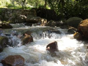 hotel selva montana