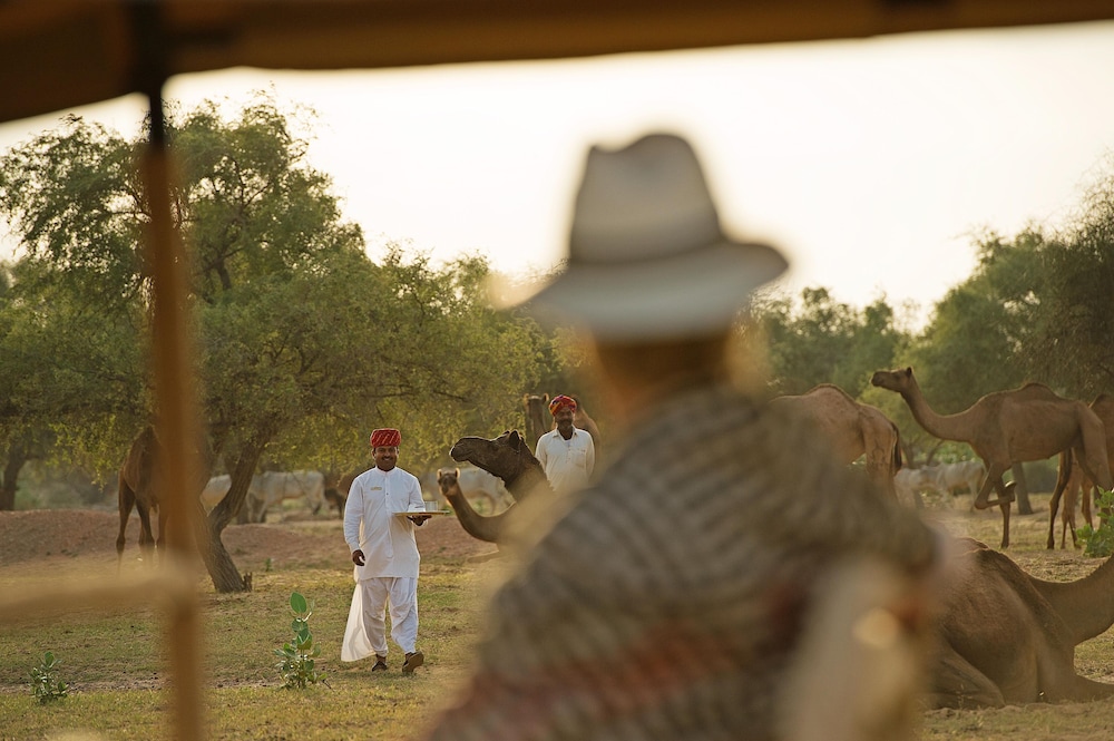 the serai camp relais and chateaux