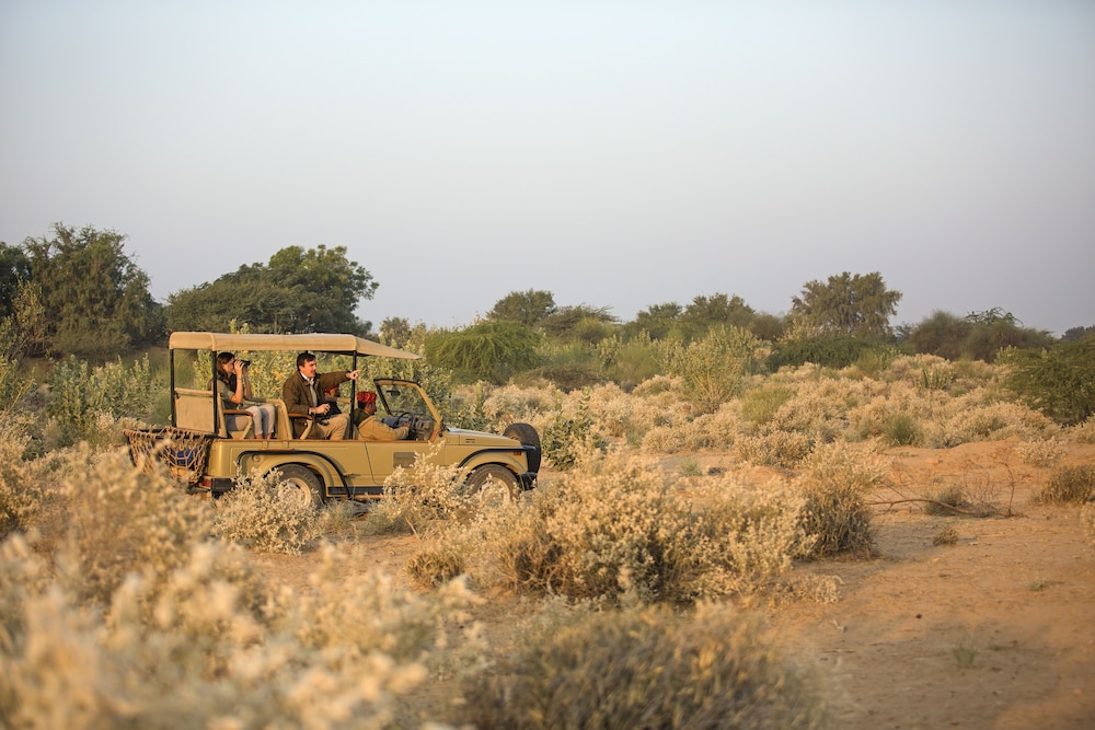 the serai camp relais and chateaux