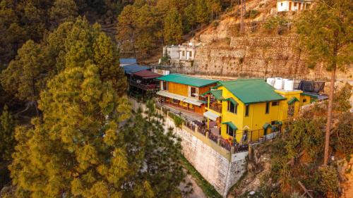 thehimalayanliving whistling pines