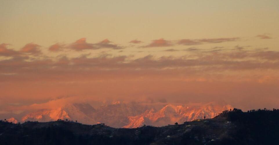 thehimalayanliving whistling pines