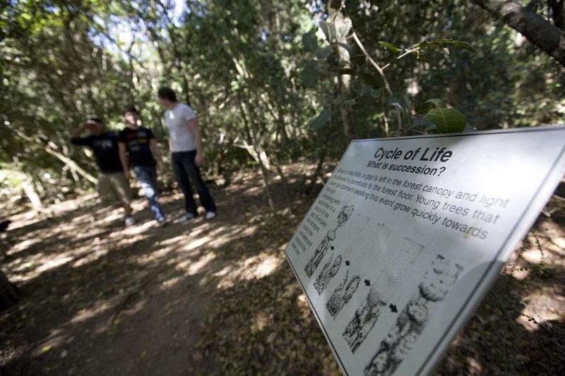 capricorn caves caravan park