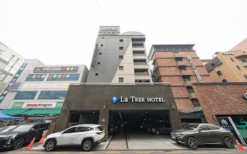 ilsan la tree