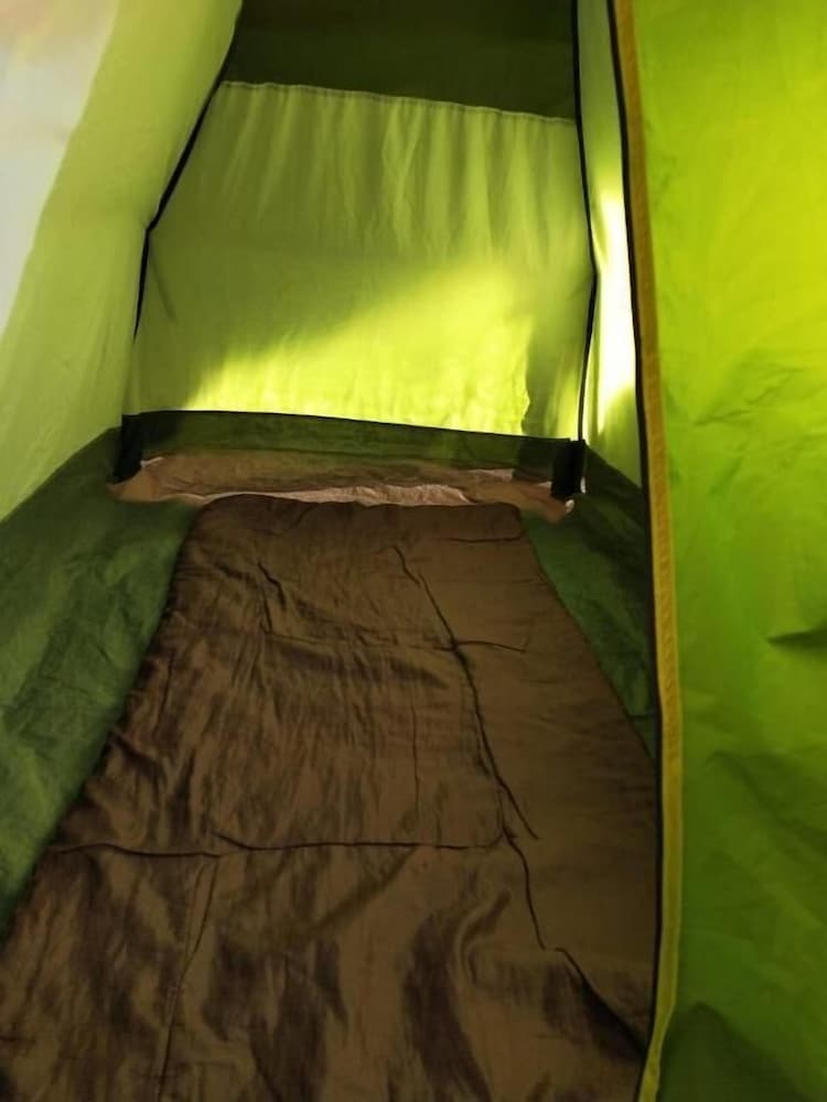 trippr gokarna backpacker hostel