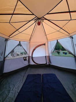 trippr gokarna backpacker hostel