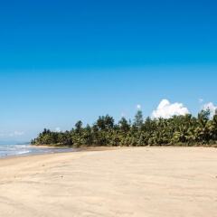 trippr gokarna backpacker hostel