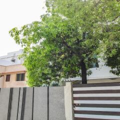 nagpur