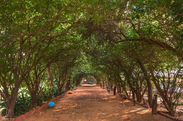 ranthambore tiger machan resort