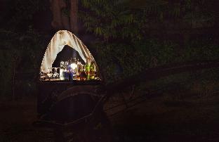 ranthambore tiger machan resort