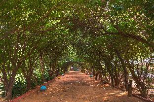 ranthambore tiger machan resort